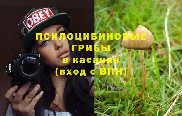 амф Медногорск