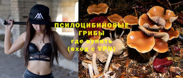 прущая мука Медвежьегорск