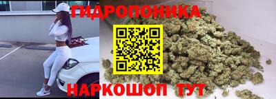 ECSTASY Будённовск