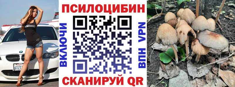 закладки MEGA рабочий сайт Галлюциногенные грибы Psilocybe Донской