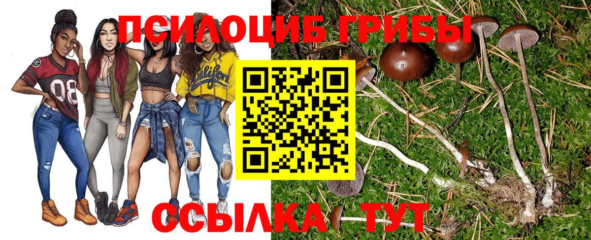 Псилоцибиновые грибы Cubensis  Донской  Галлюциногенные грибы ЛСД 