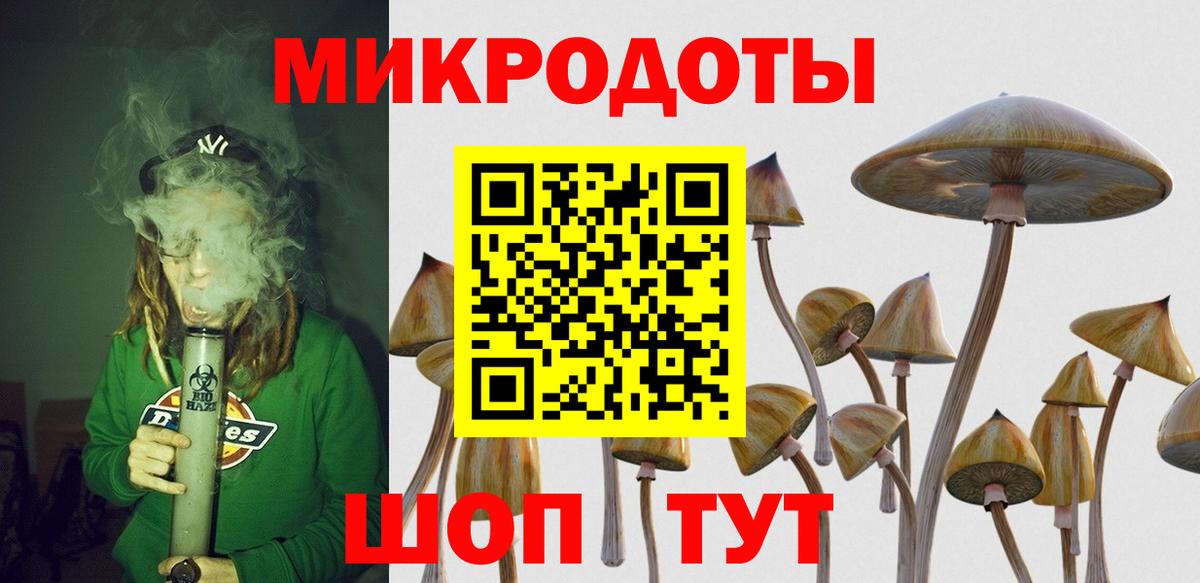 Псилоцибиновые грибы Psilocybe  Вход с VPN  Донской 