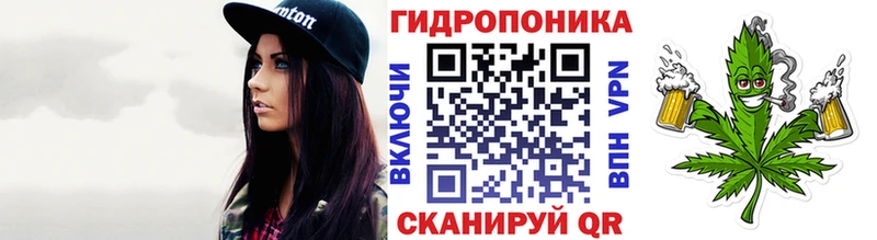 Бошки Шишки конопля Донской