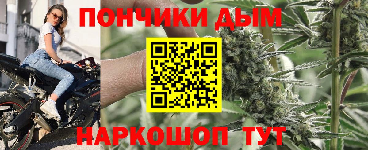 Канабис OG Kush Донской